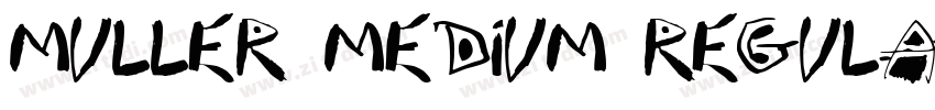 Muller Medium Regula字体转换